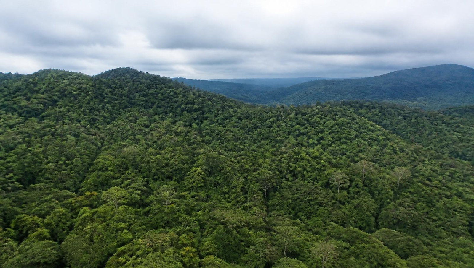 Vista aérea de serras cobertas por floresta tropical preservada